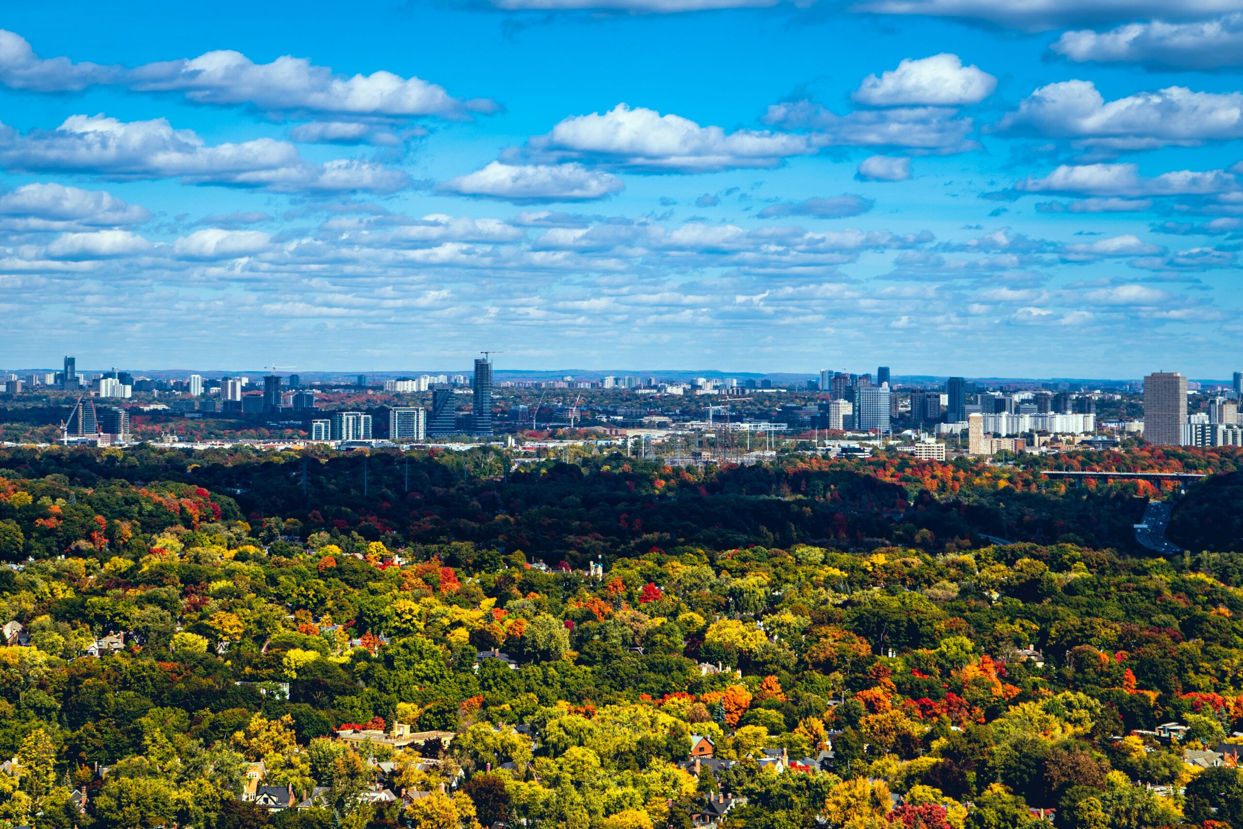 Wide aerial view of a Georgia city skyline and lush autumn tree canopy, illustrating the broad market for business and liability insurance Georgia for consultants.